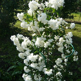 Карточка (51).png