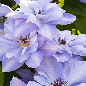 Карточка (37).png