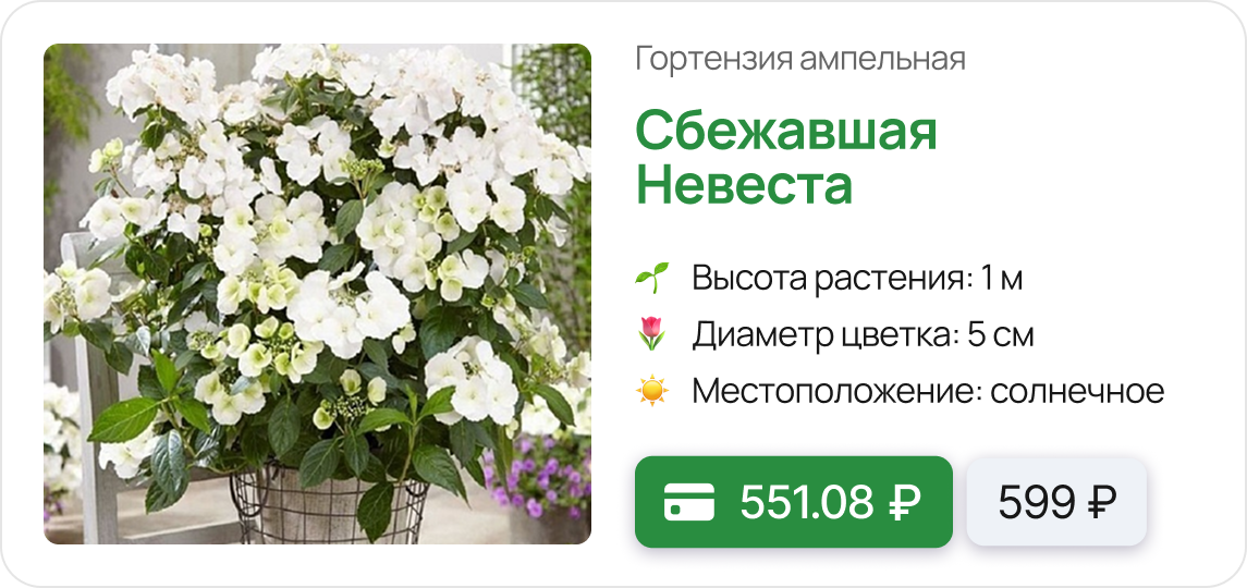 Карточка цветы.png