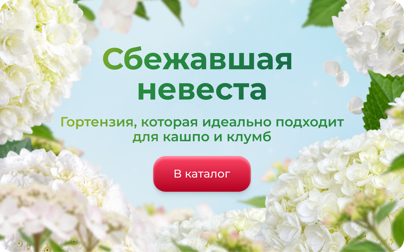 Frame 1367935284.png