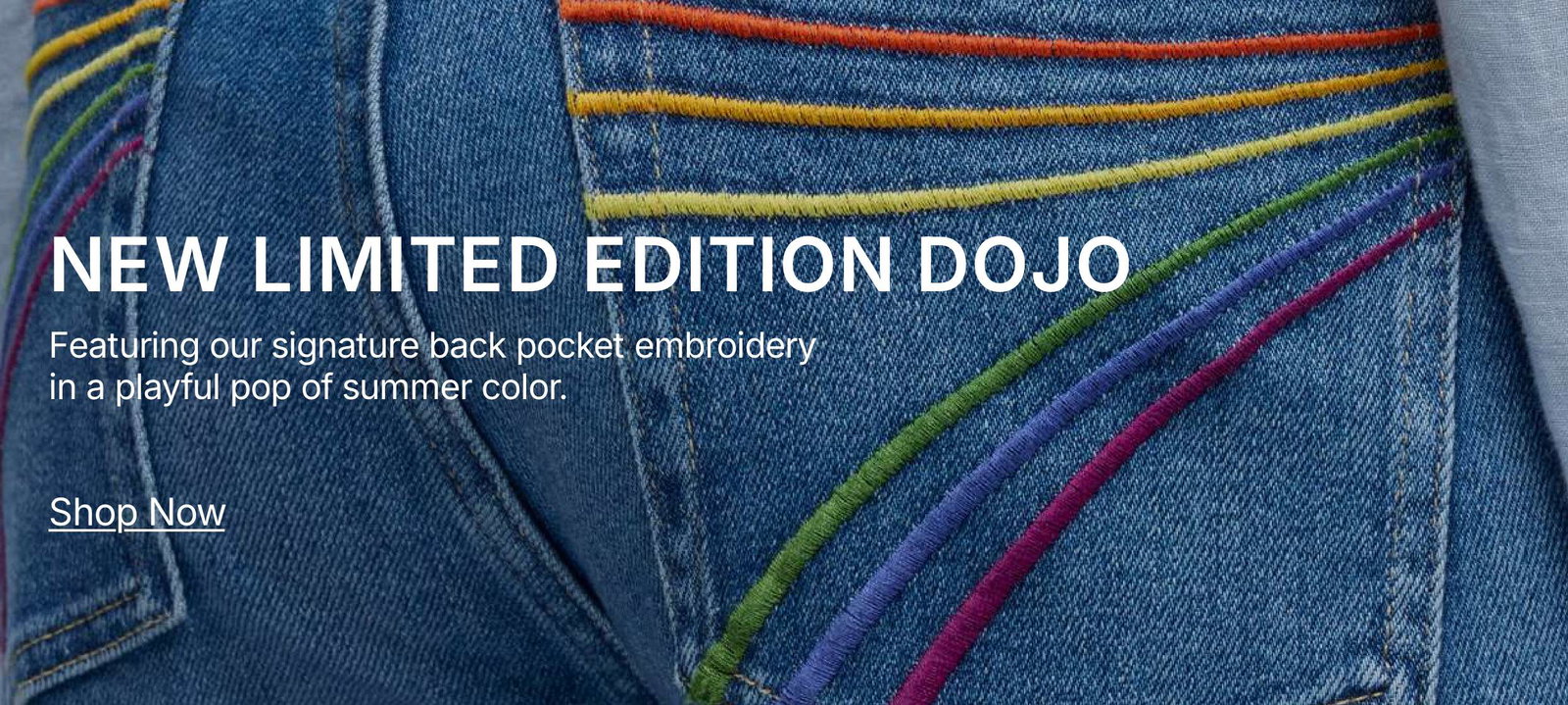 Shop Rainbow Back Pocket Dojo