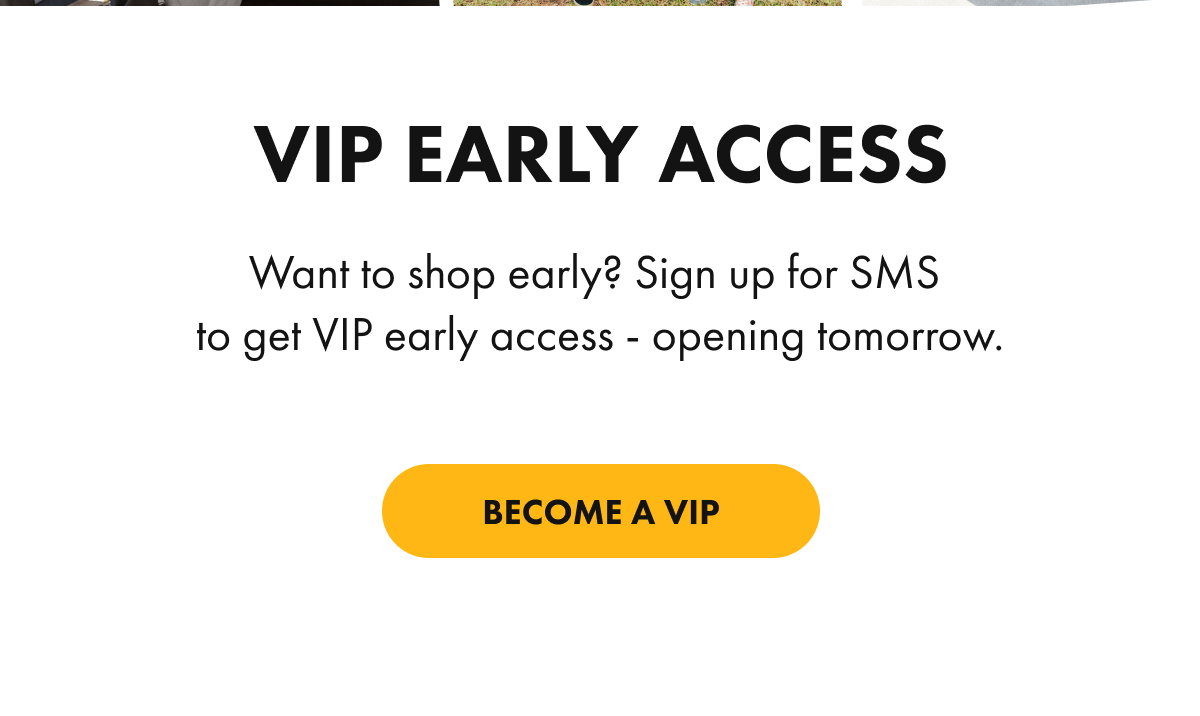 VIP Early Access