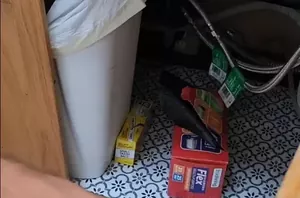 Why this guy takes the rolls of trash bags out from under his sink