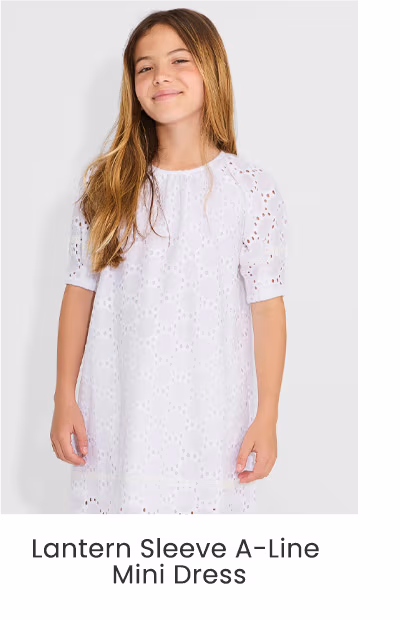 Lantern Sleeve A-Line Mini Dress