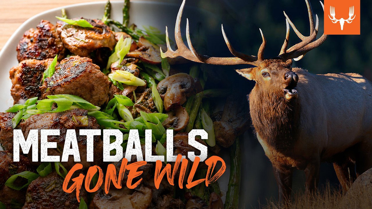 elk meatballs