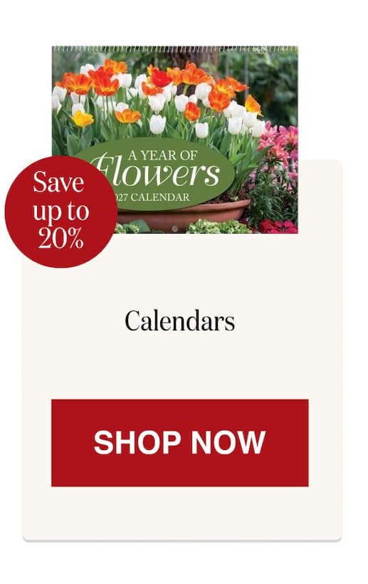 Calendars [Click here to Shop Now]