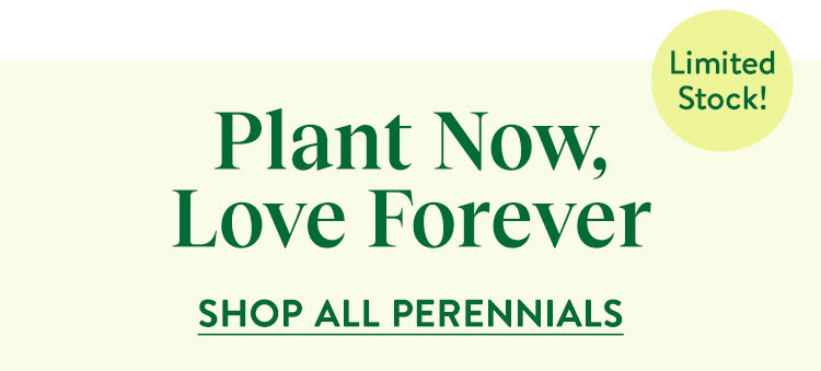 Perennial Plants