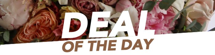 Save 15% Sitewide