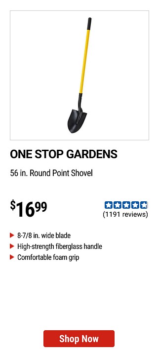 Product 15