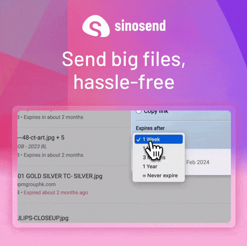 Sinosend: Send big files, hassle-free