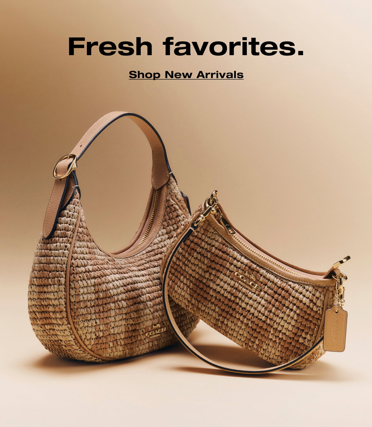 Fresh favorites. Shop New Arrivals