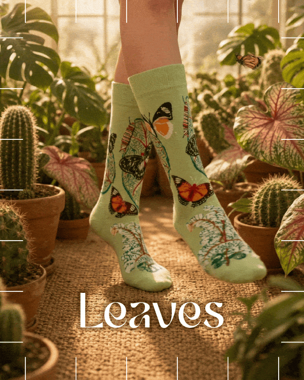 Leaves