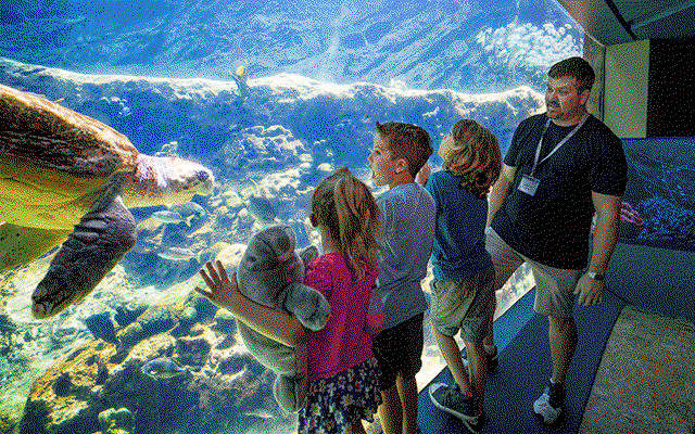 Plan your visit!