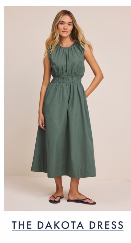 The lady wearing the nz by NIC+ZOE Poplin Dakota Dress.