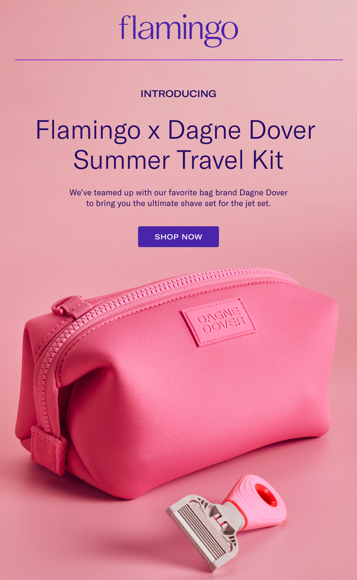 Introducing Flamingo x Dagne Dover Summer Travel Kit