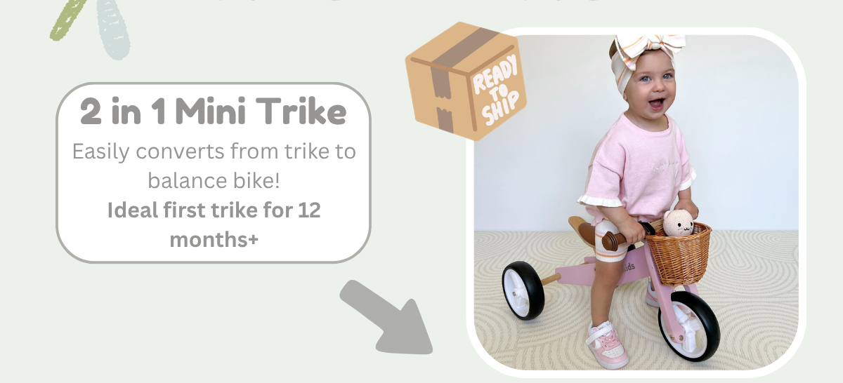 Shop 2 in 1 Mini Trike
