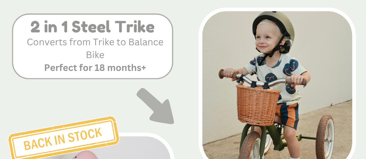 Shop 2 in 1 Steel Trike