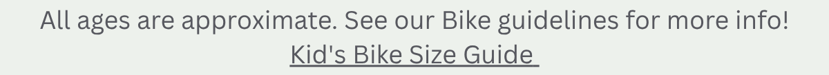 Bike Size Guide
