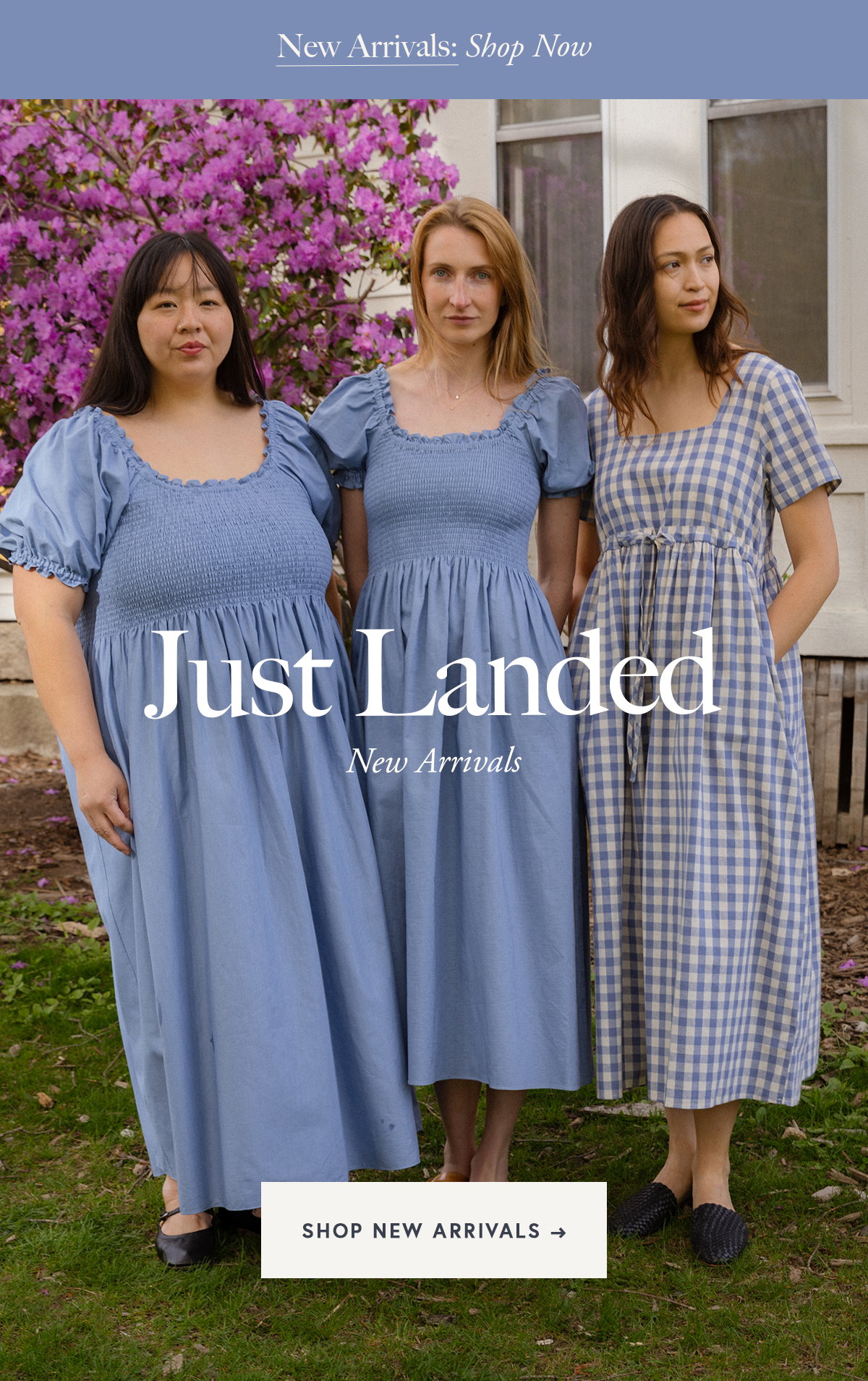 SHOP NEW ARRIVALS