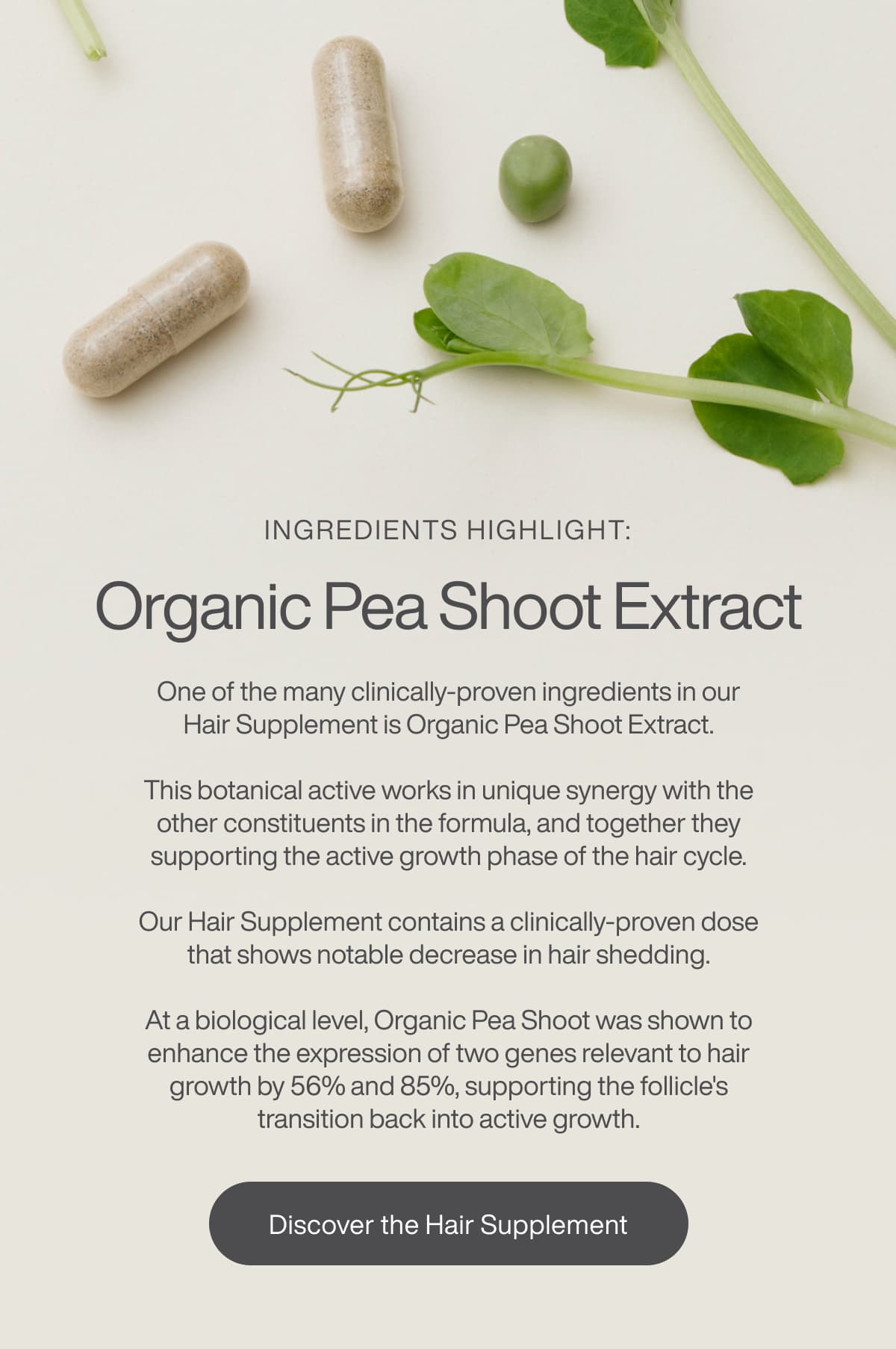 Ingredient Highlight: Organic Pea Shoot Extract | [DISCOVER THE HAIR SUPPLEMENT]