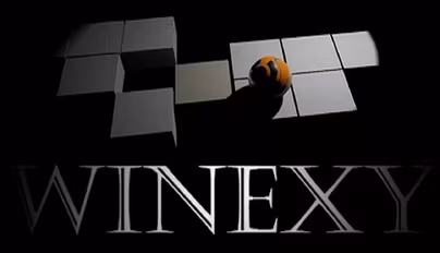 Winexy - Free to Keep [Steam/PC]