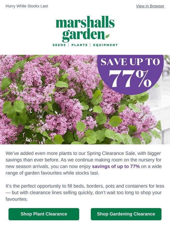 Clearance Just Got Bigger - Save Up to 77%