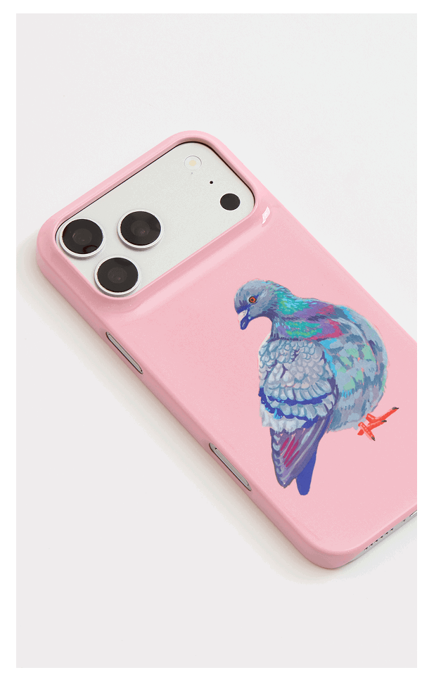 New Pigeon 