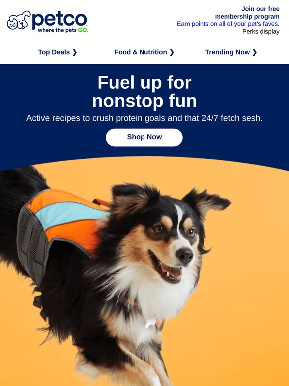 🙌 Food for fueling all your pet’s summer adventures