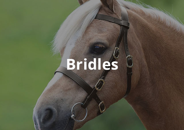 Category Image | Bridles