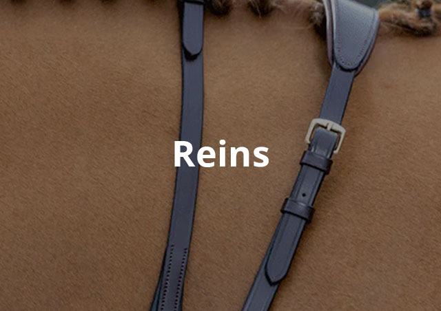 Category Image | Reins