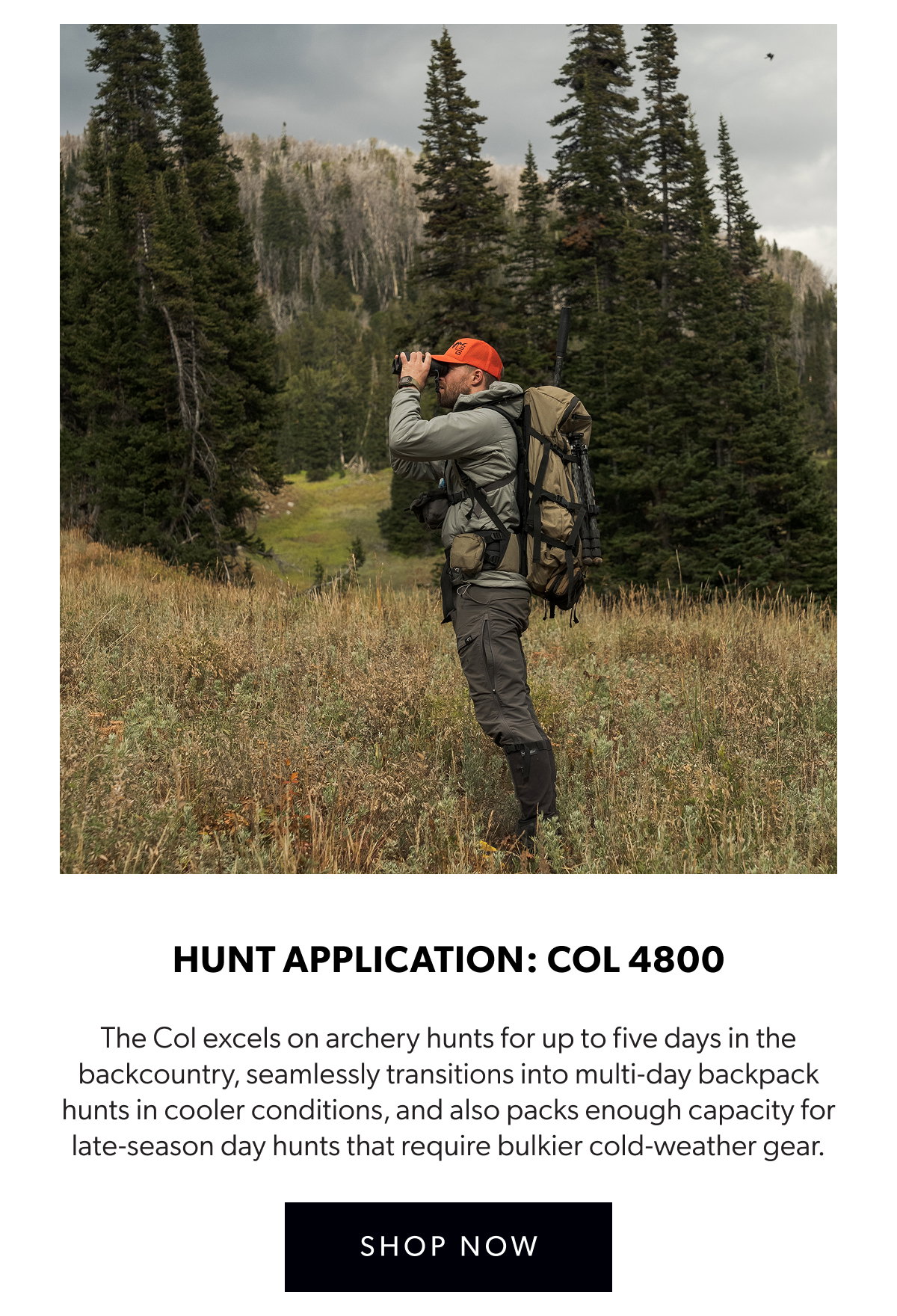 Shop Now: COL 4800