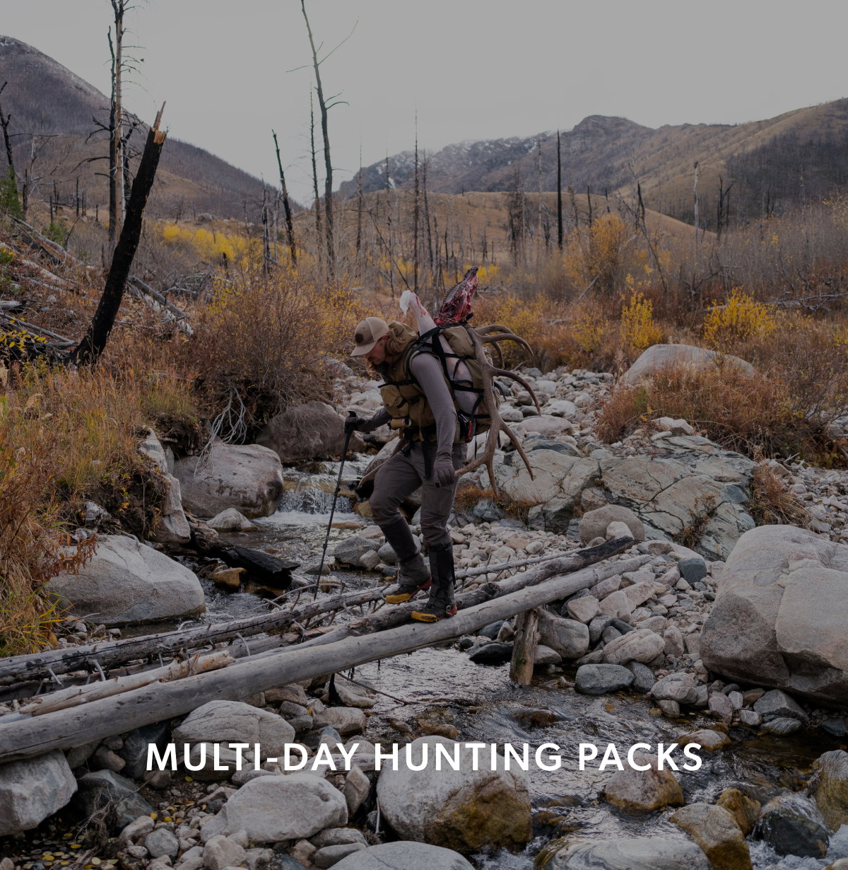 Multi-Day Hunting Packs