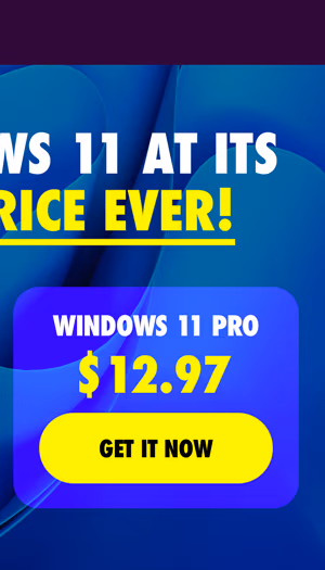Microsoft Windows 11 Pro