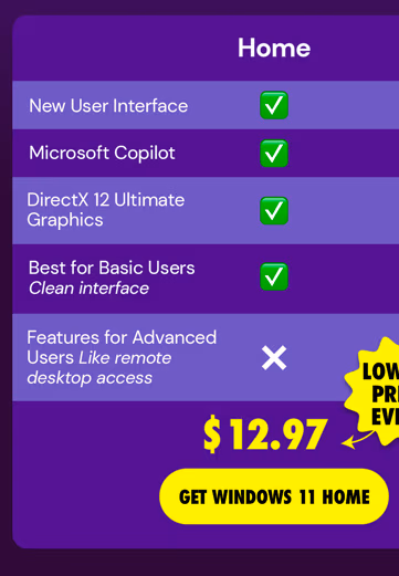 Microsoft Windows 11 Home