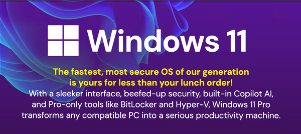 Microsoft Windows 11 Pro or Home