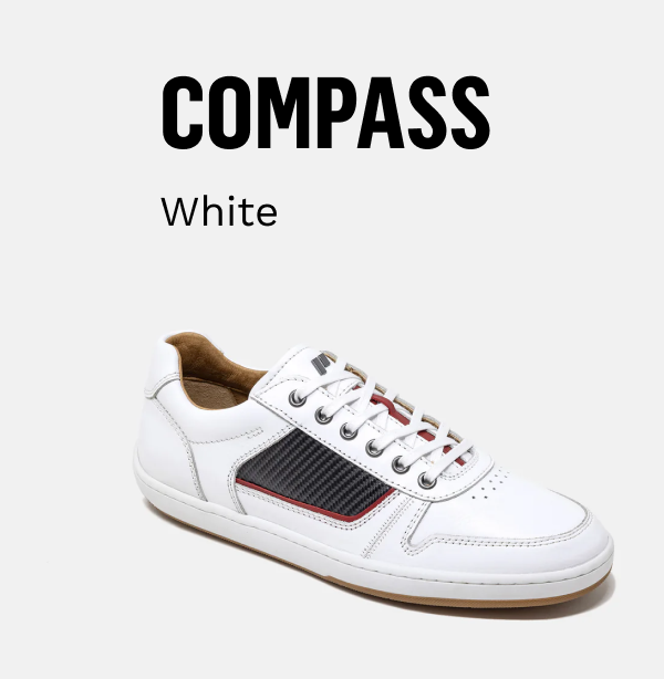 Compass in White