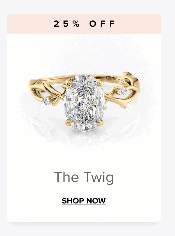 Shop The Twig 25% OFF