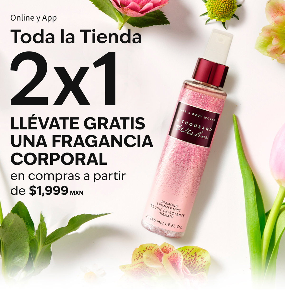 Toda la Tienda 2x1