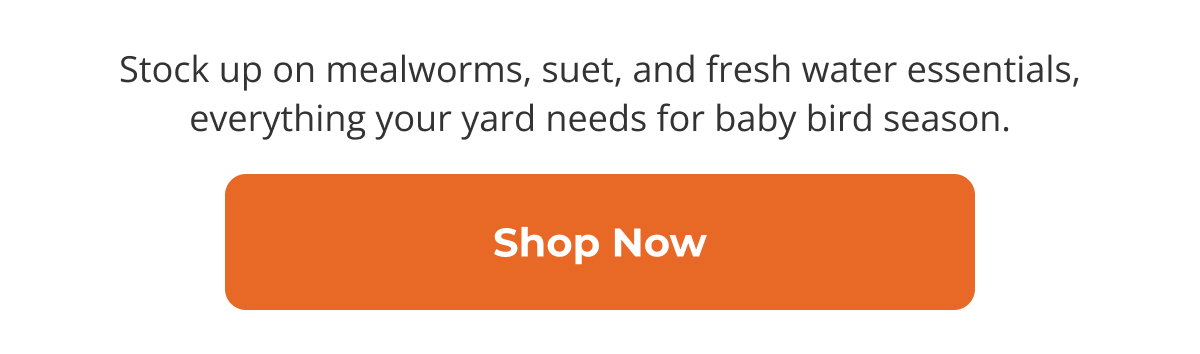 Stock up on mealworms