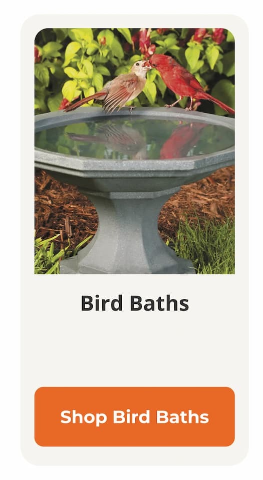 birth baths