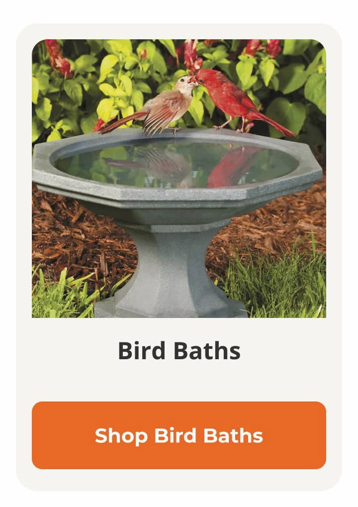 birth baths