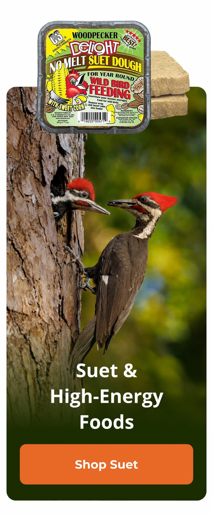 Suet & High-Energy Foods