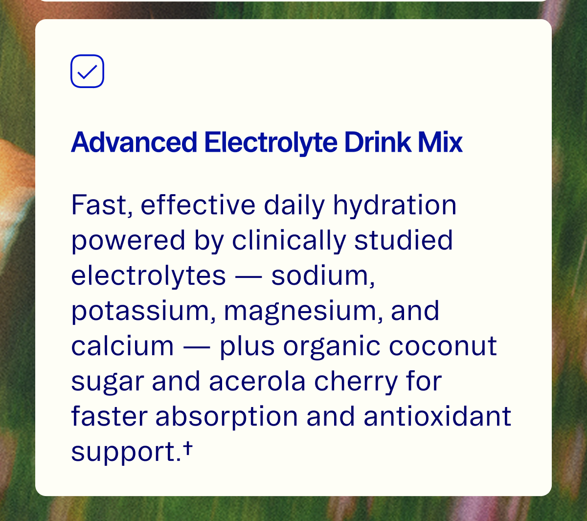 Shop Electrolytes
