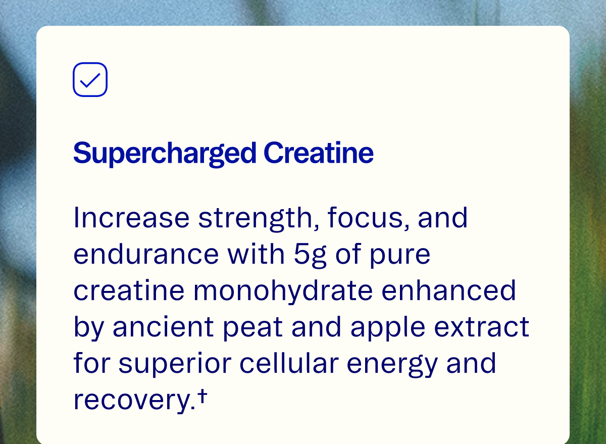 Shop Creatine