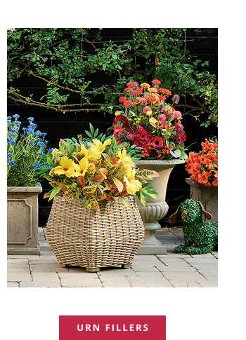 Shop Urn Fillers