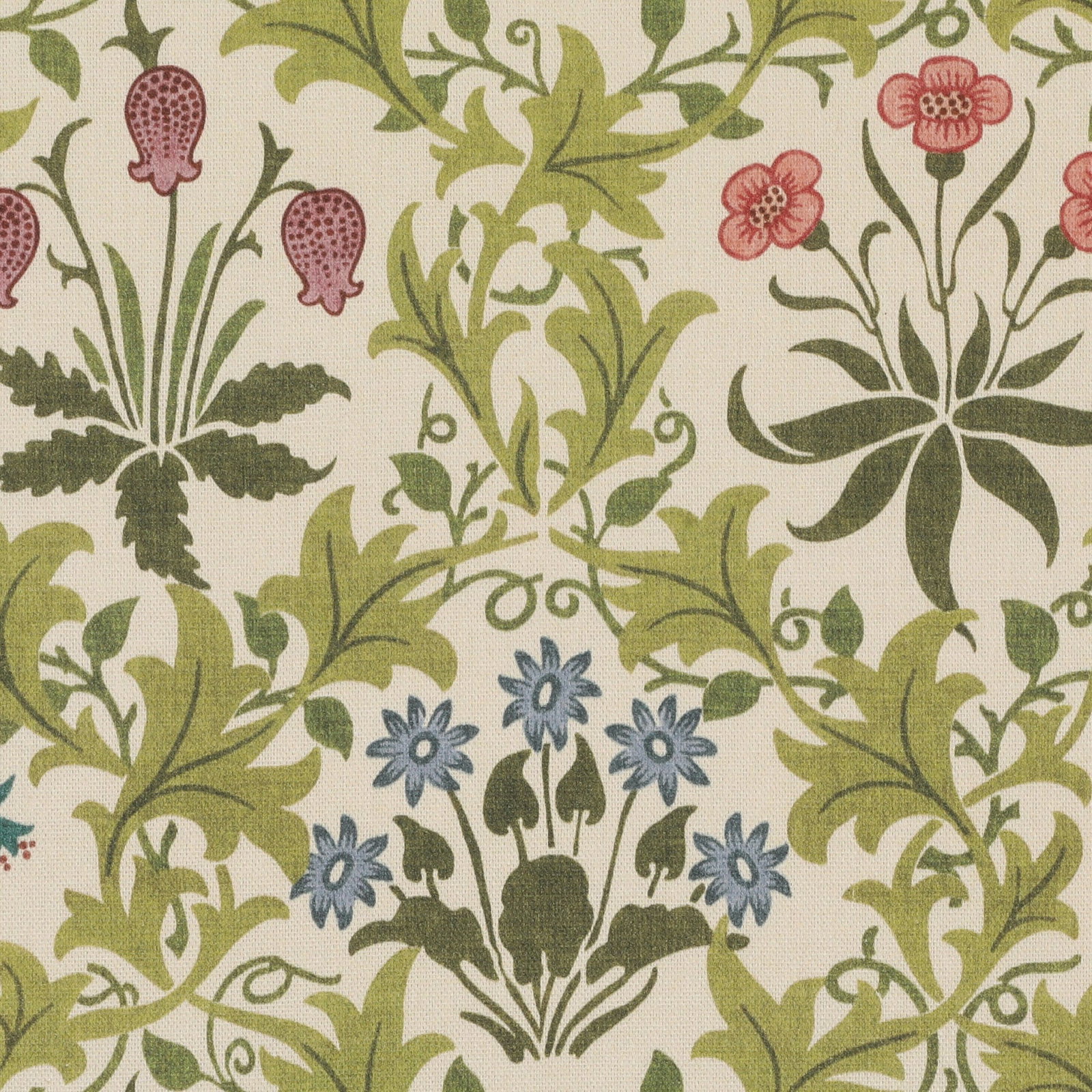 William Morris Celandine Blush Blue