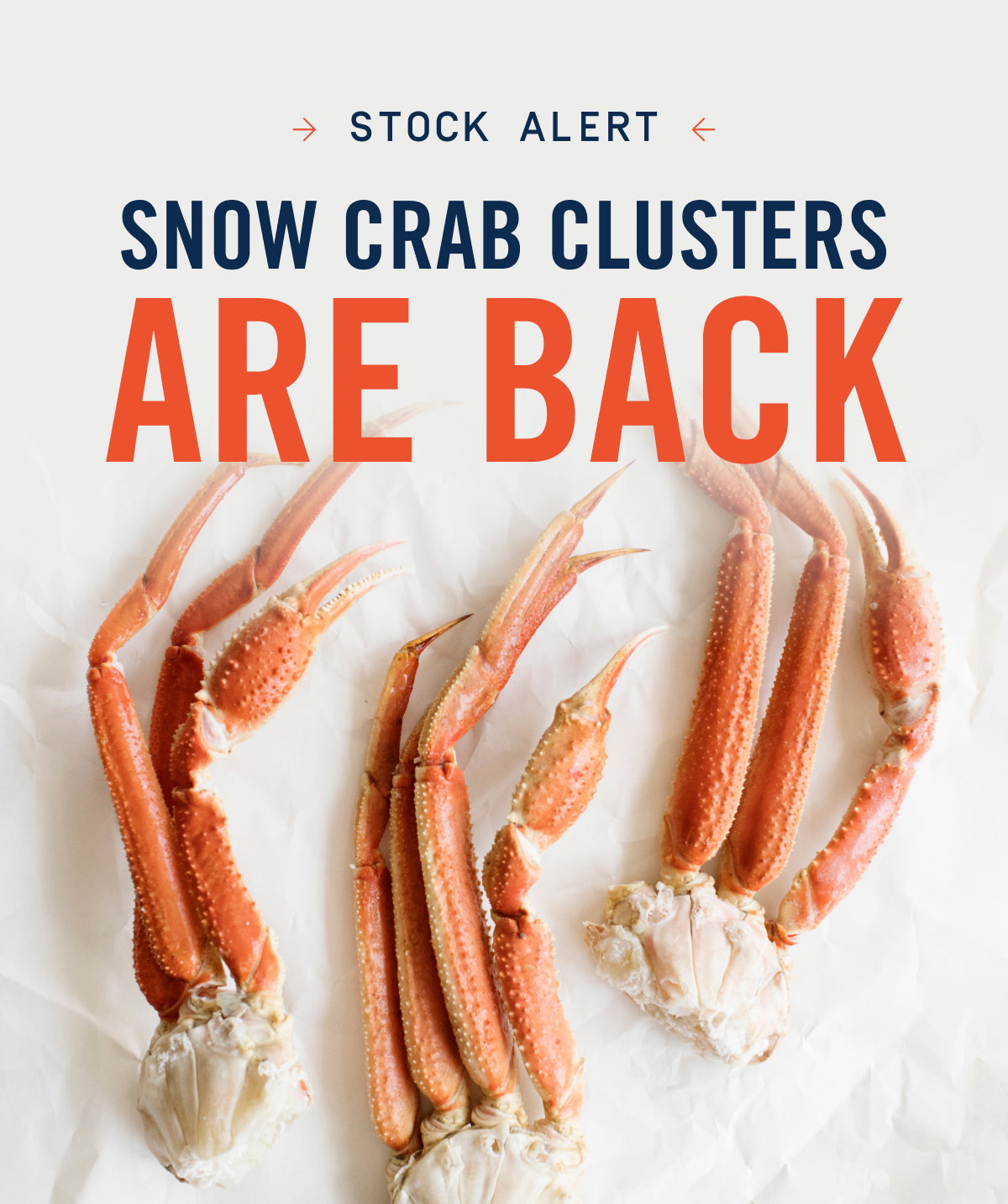 → STOCK ALERT ← SNOW CRAB CLUSTERS ARE BACK