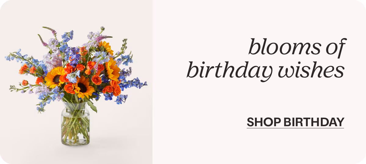 blooms of birthday wishes - SHOP BIRTHDAY »