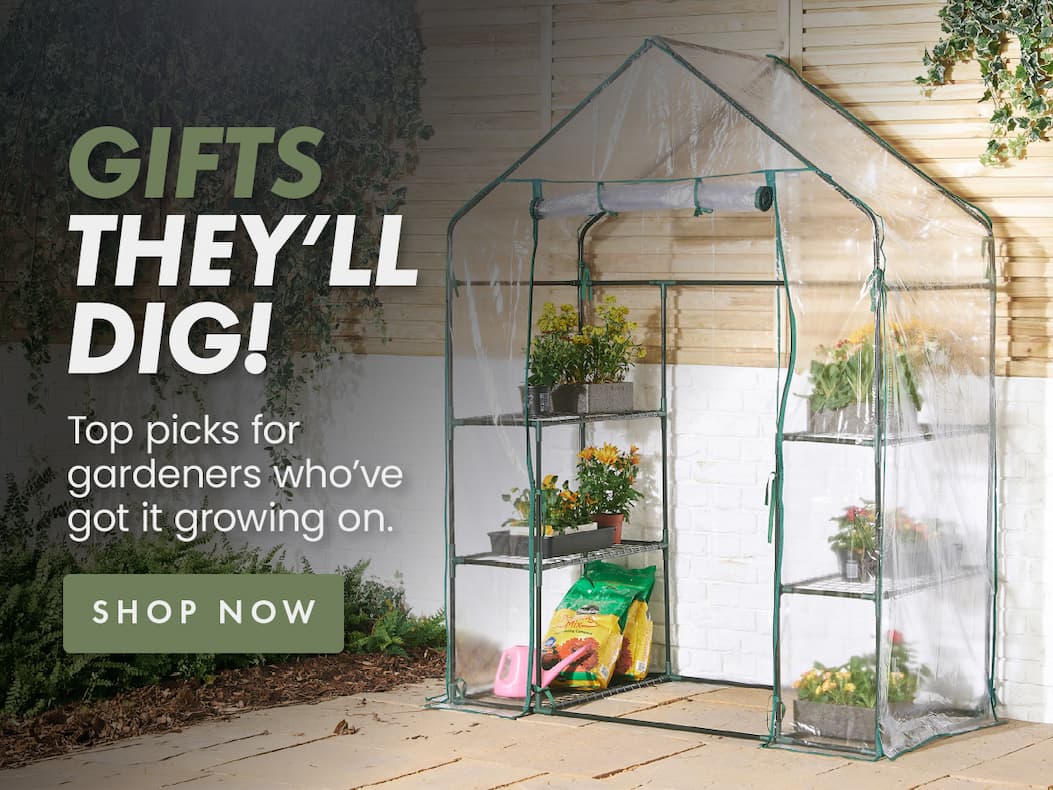 Gifts they'll dig