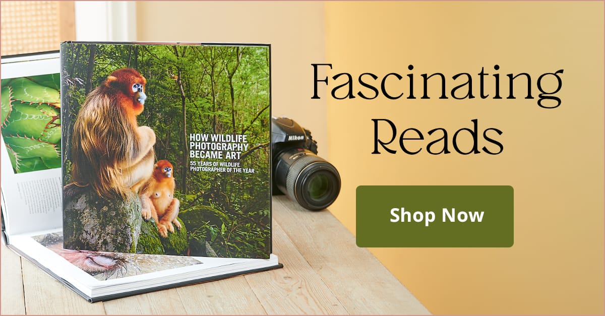  Fascinating Reads 69083 How Wildlife Photography Became Art